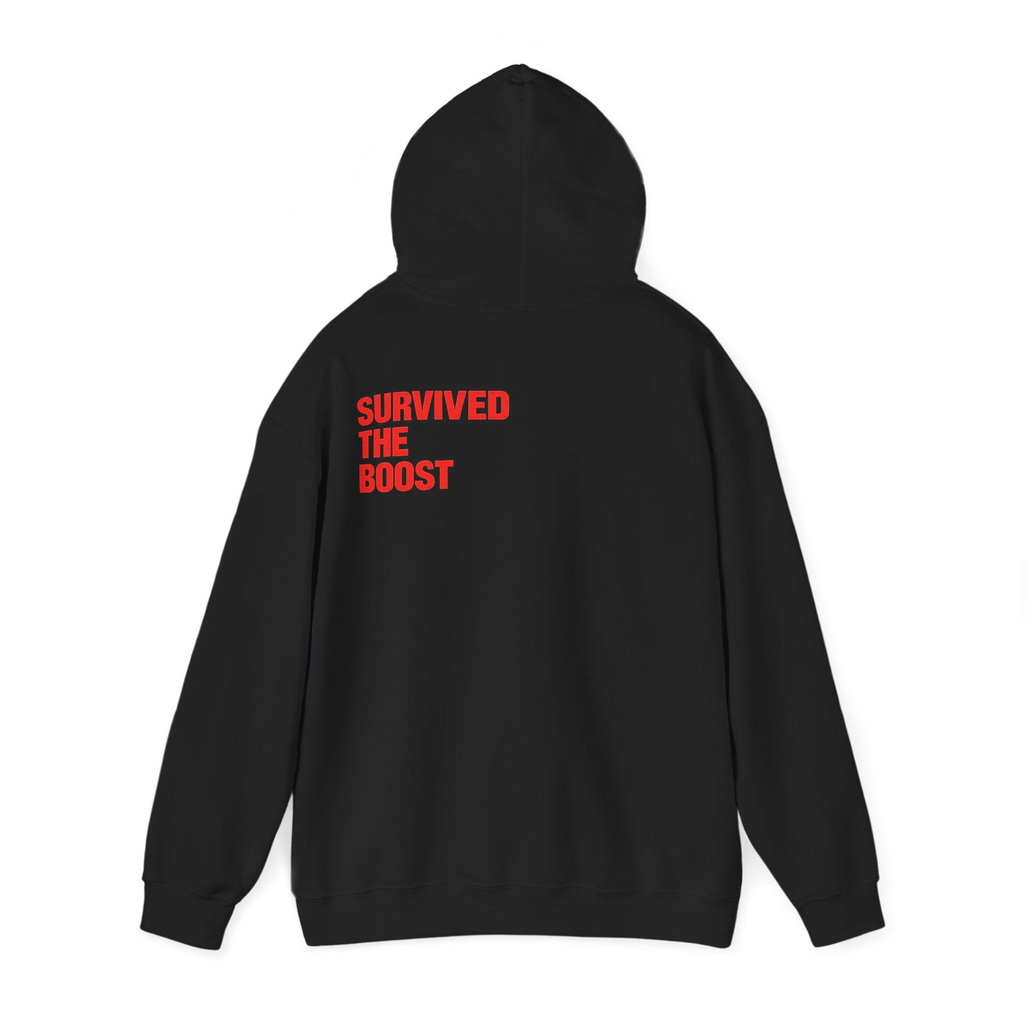 Turbo 'Survived The Boost' Hoodie
